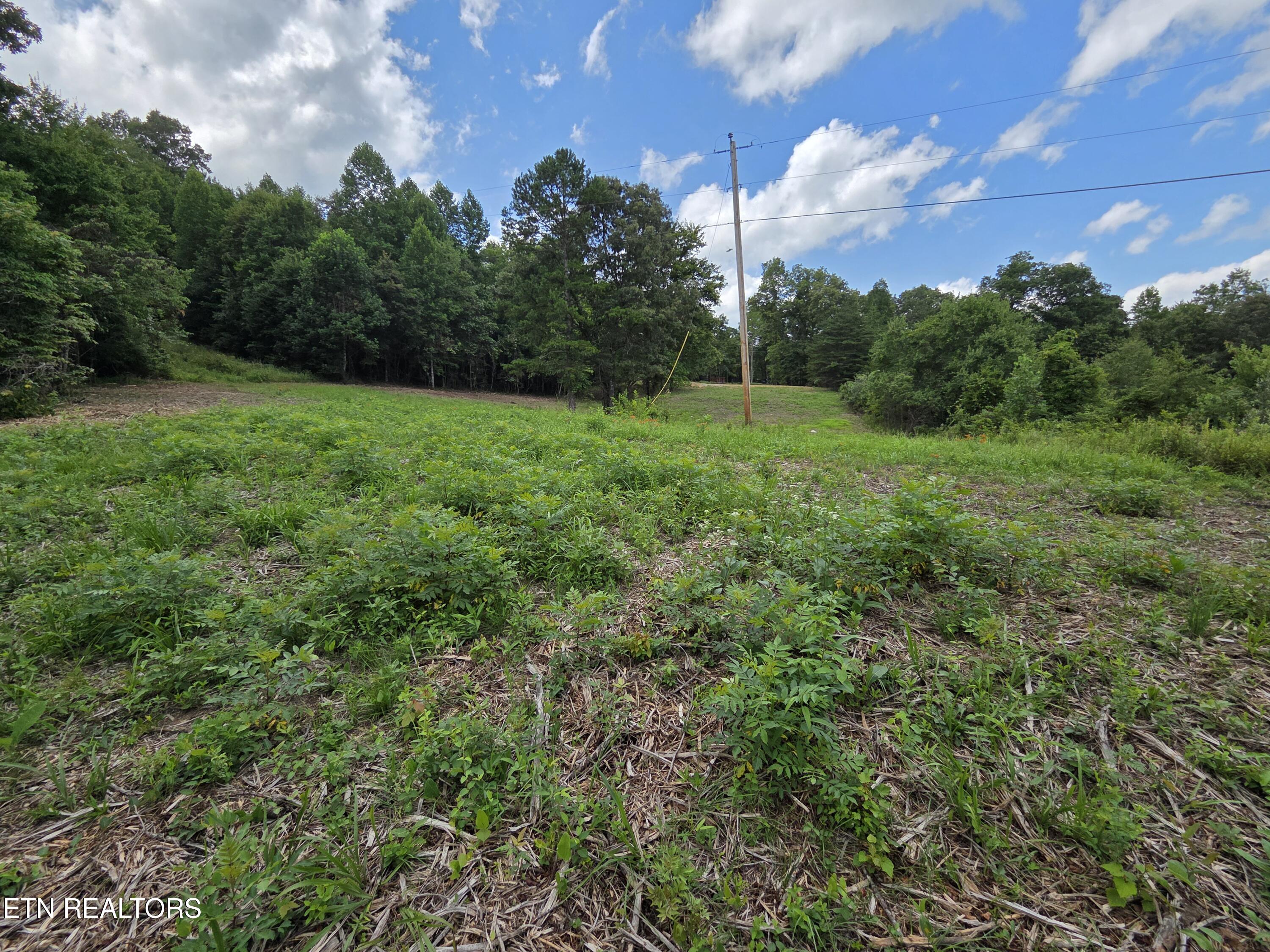 Old Huntsville-jamestown Road Robbins TN 37852
