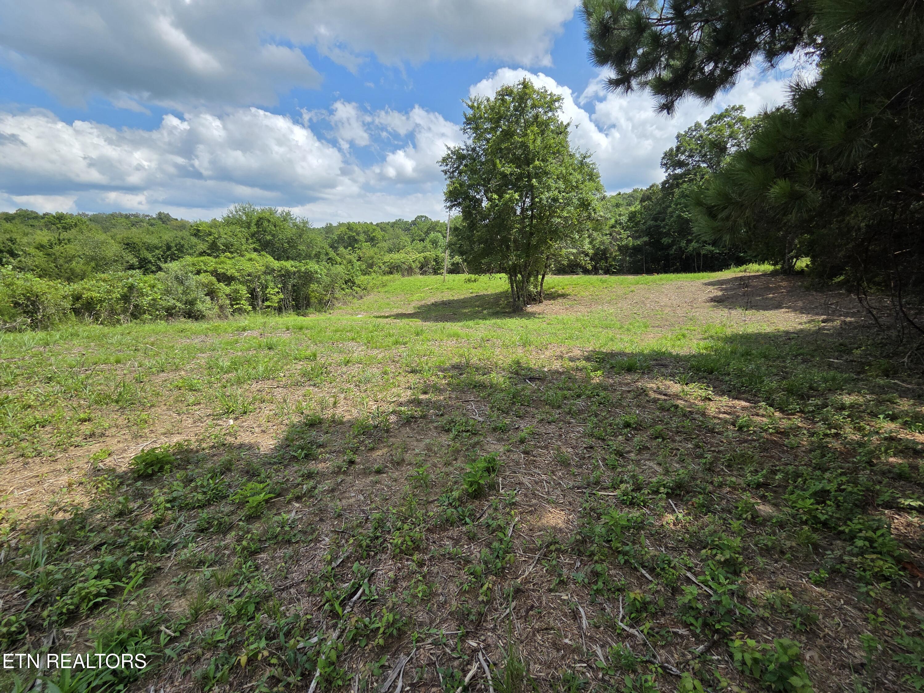 Old Huntsville-jamestown Road Robbins TN 37852