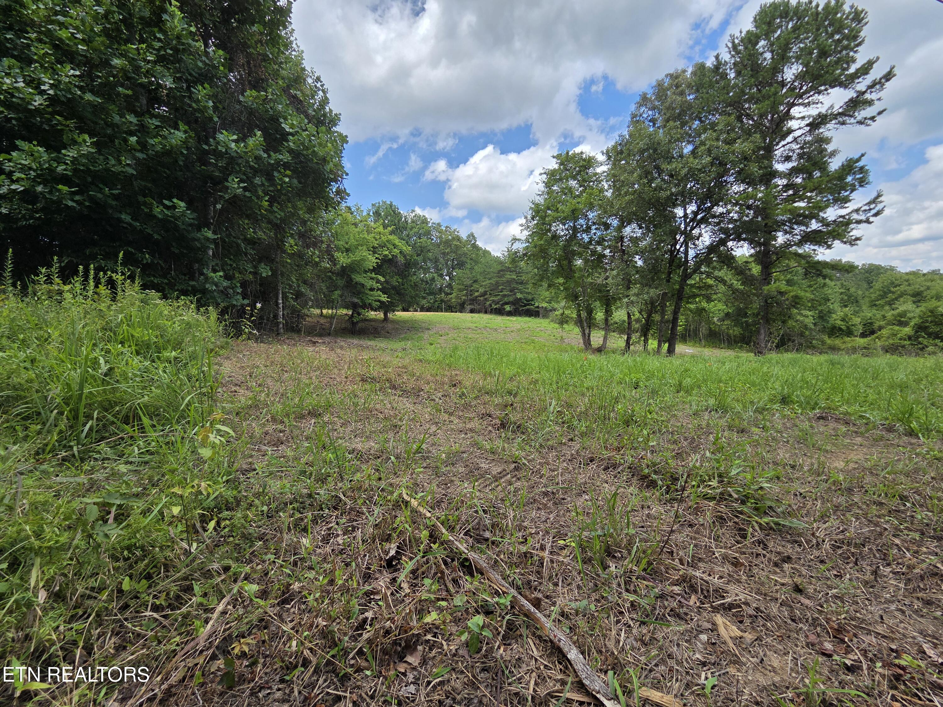 Old Huntsville-jamestown Road Robbins TN 37852