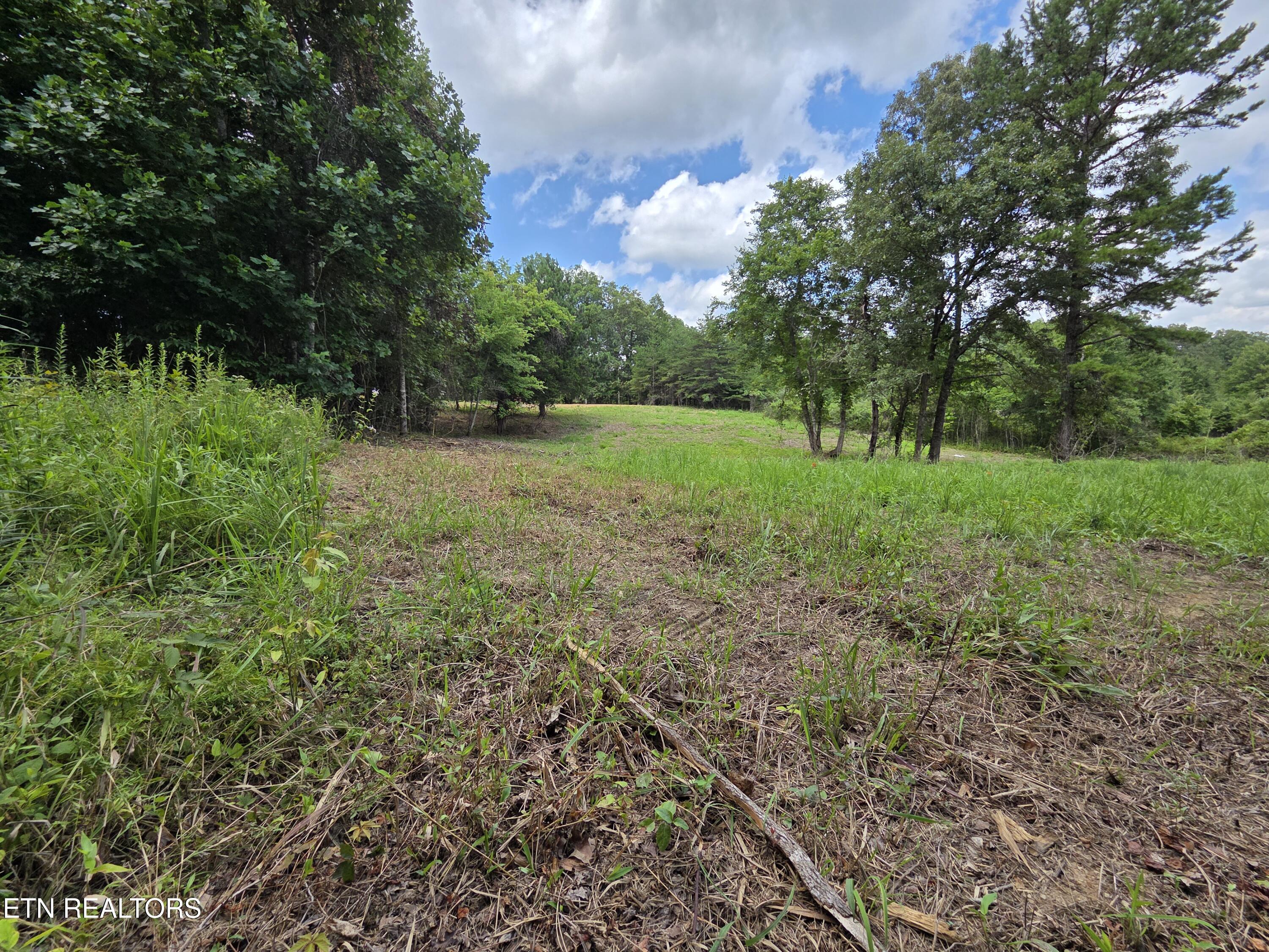 Old Huntsville-jamestown Road Robbins TN 37852