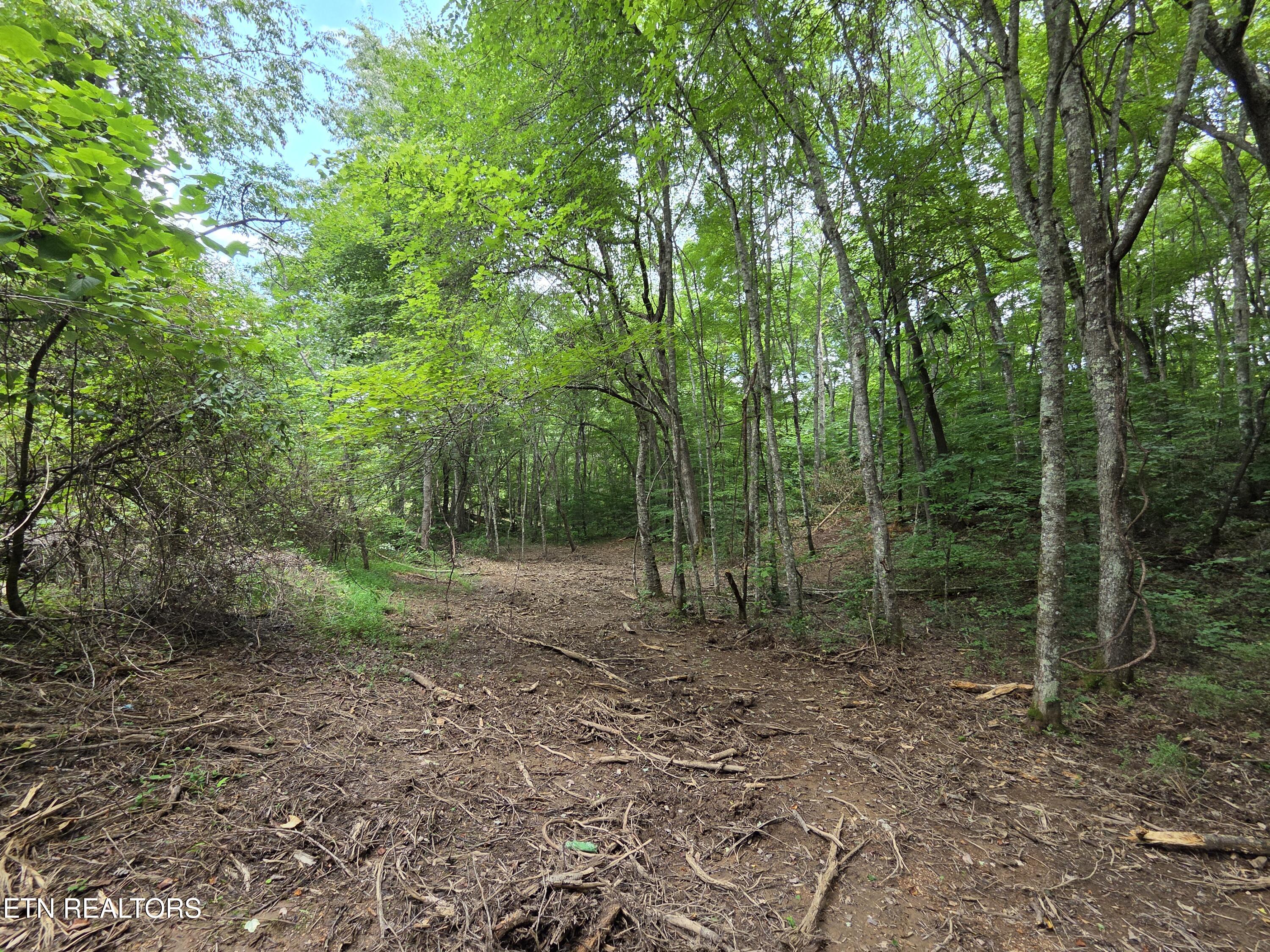 Old Huntsville-jamestown Road Robbins TN 37852