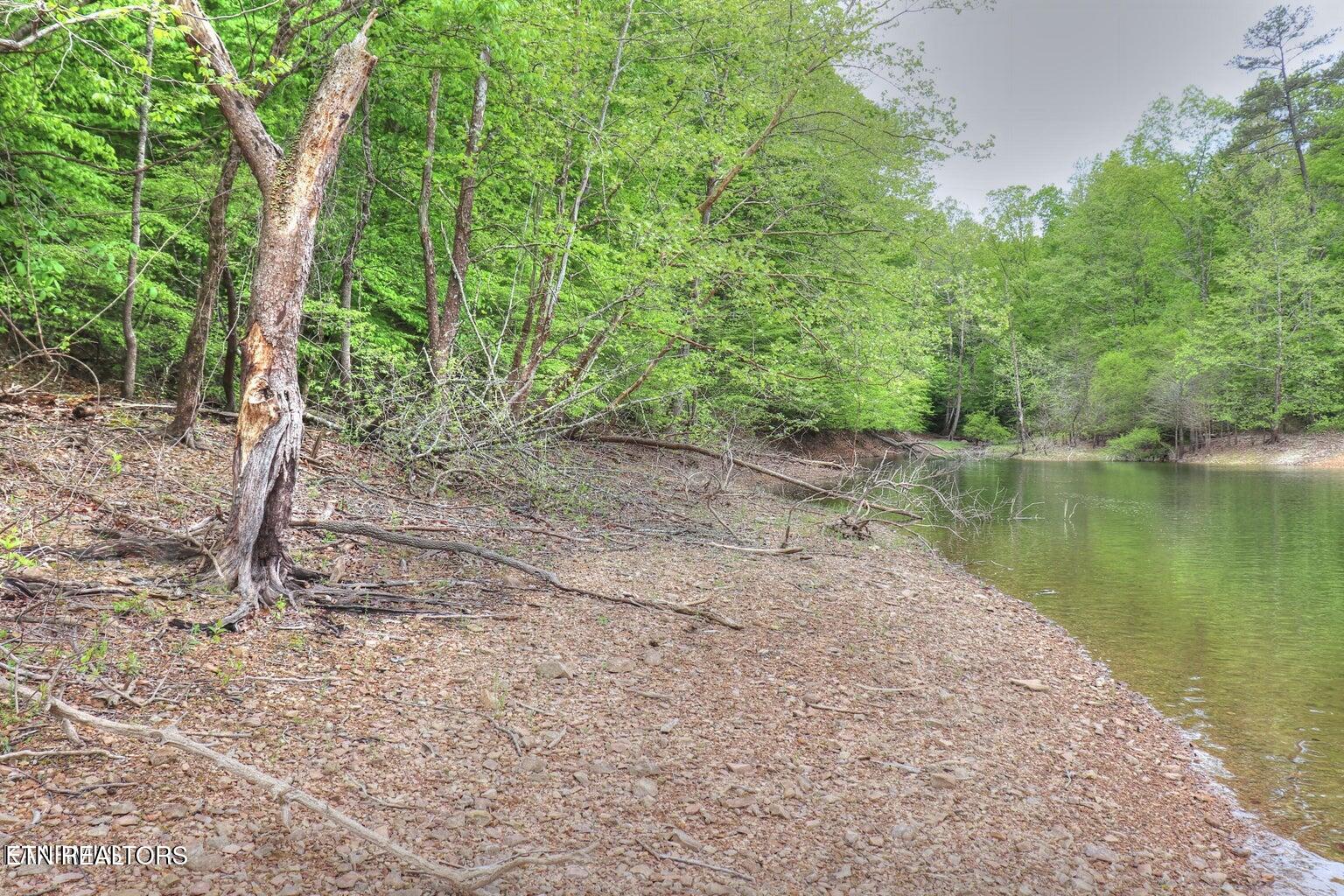 Lot 427 Mountain Shores Road New Tazewell TN 37825