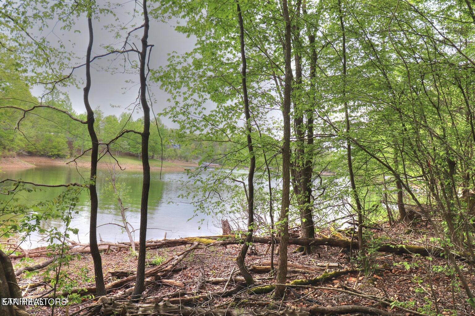 Lot 427 Mountain Shores Road New Tazewell TN 37825