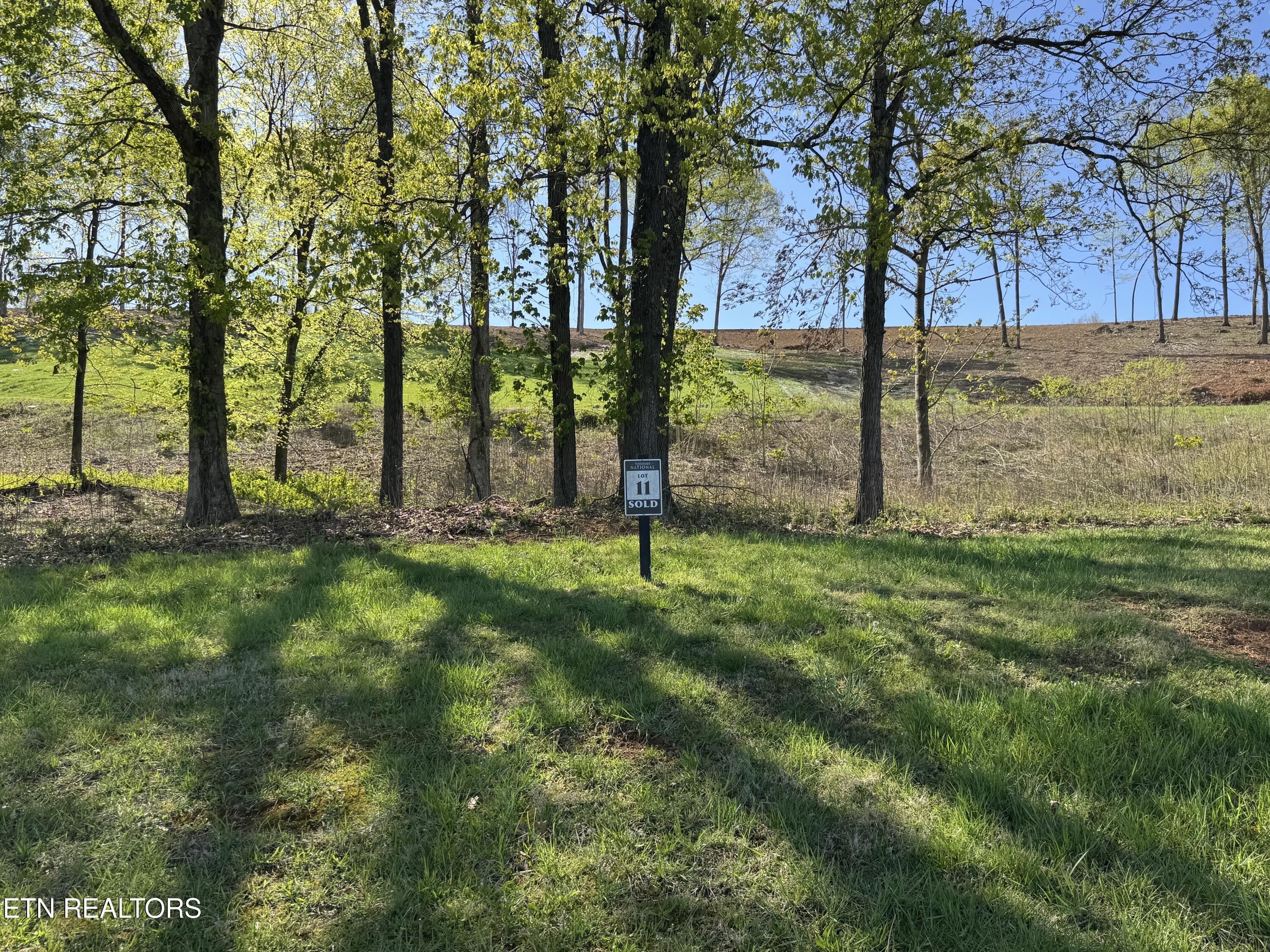 1031 Black Cove Lane Loudon TN 37774