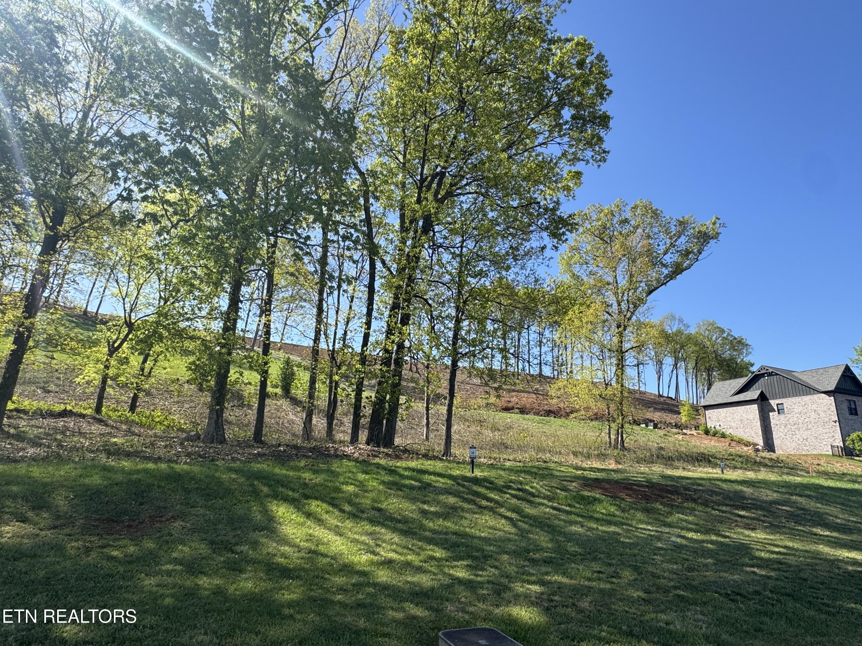 1031 Black Cove Lane Loudon TN 37774