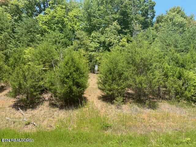Lot 492 Citron Lane New Tazewell TN 37825