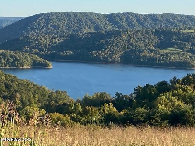 Lot 492 Citron Lane New Tazewell TN 37825