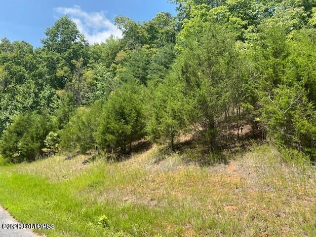 Lot 492 Citron Lane New Tazewell TN 37825