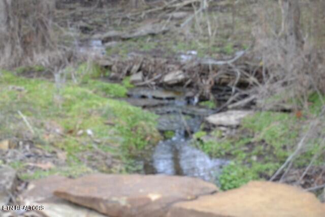 127 Rushing Springs Road Monterey TN 38574