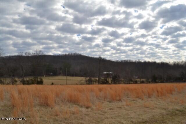 127 Rushing Springs Road Monterey TN 38574