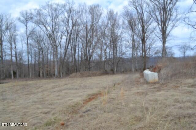 127 Rushing Springs Road Monterey TN 38574