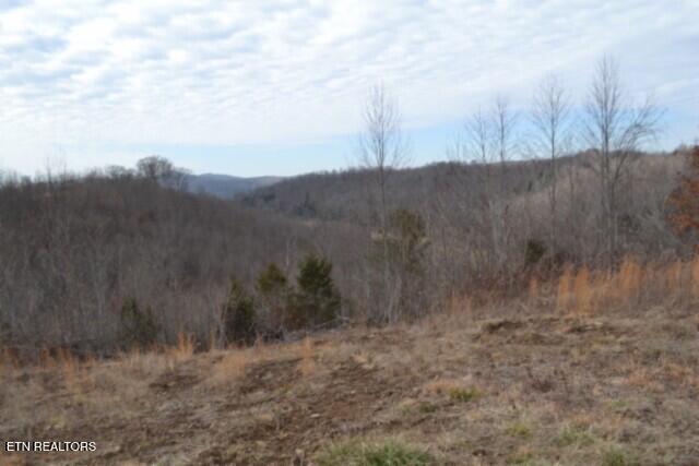 127 Rushing Springs Road Monterey TN 38574