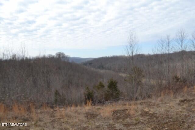 127 Rushing Springs Road Monterey TN 38574