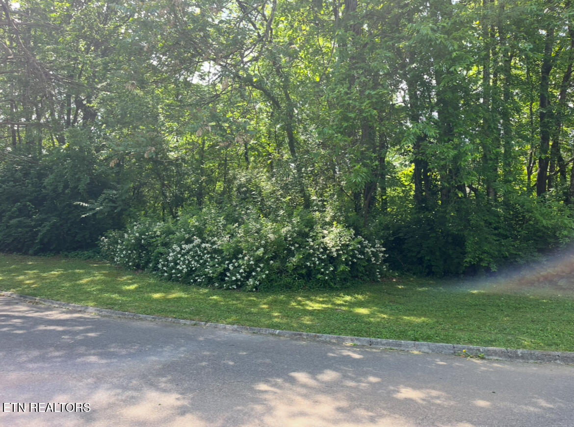 0 Burns Lane Seymour TN 37865