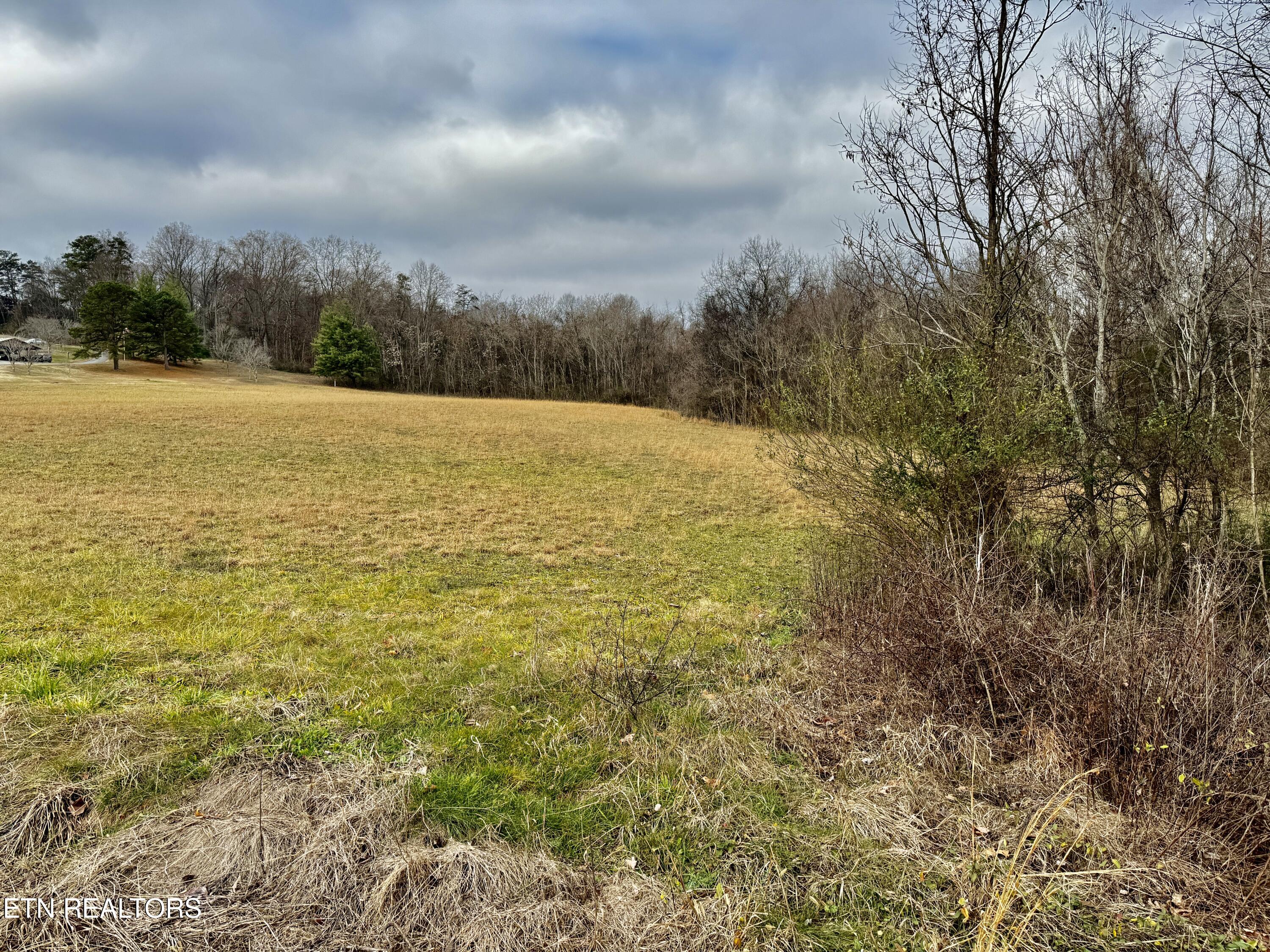 375 S White Pine Road White Pine TN 37890