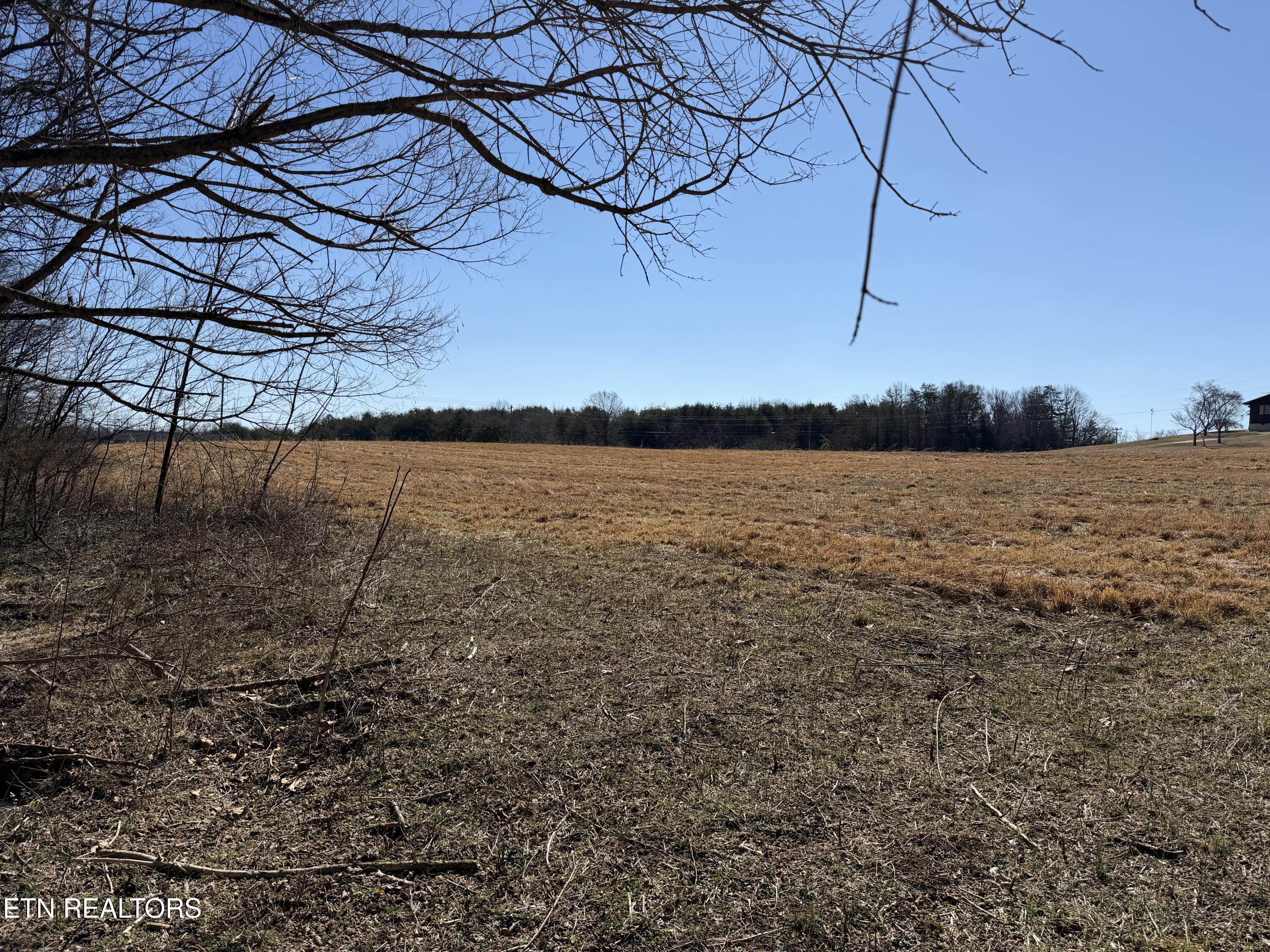 375 S White Pine Road White Pine TN 37890
