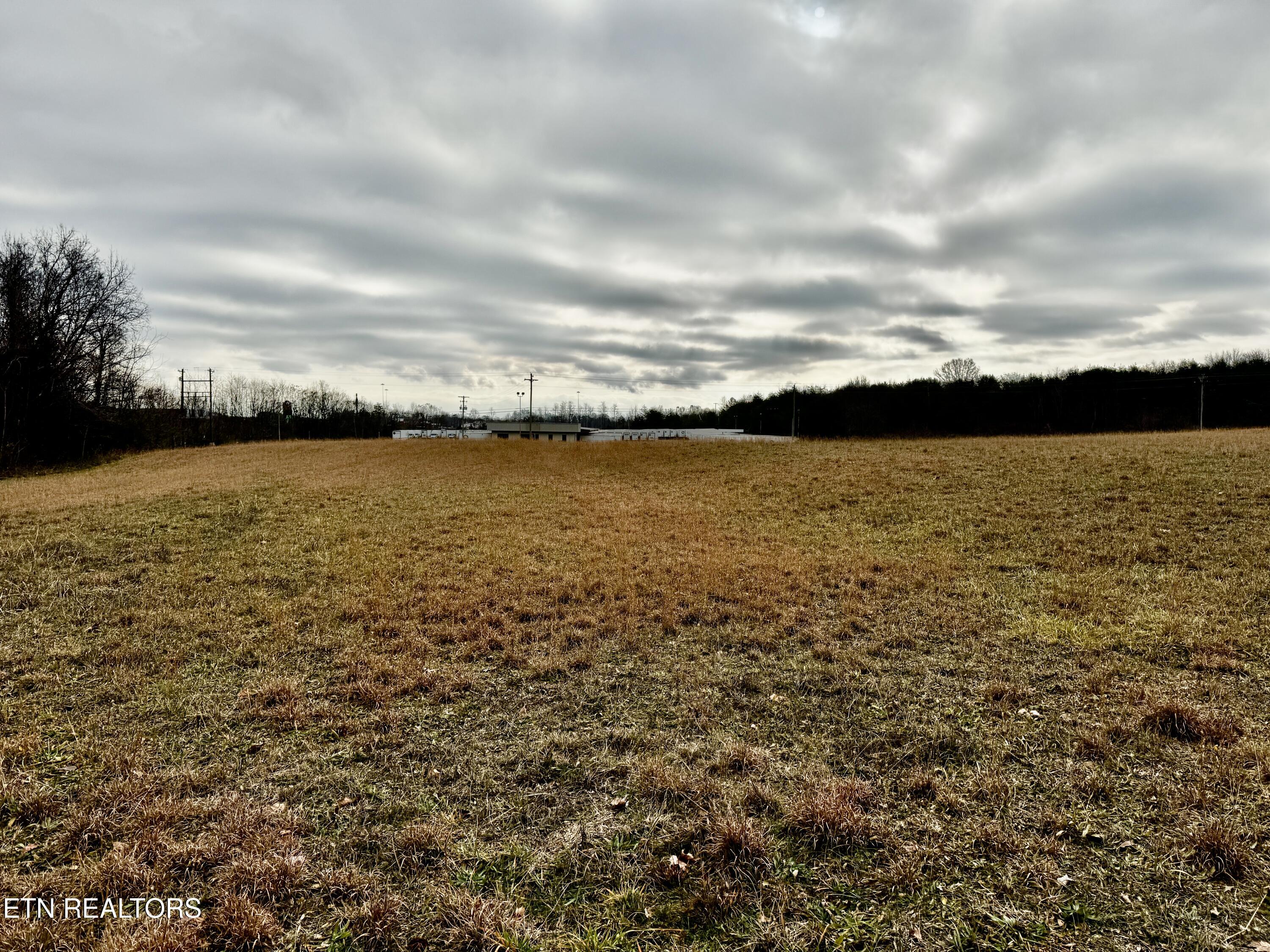 375 S White Pine Road White Pine TN 37890