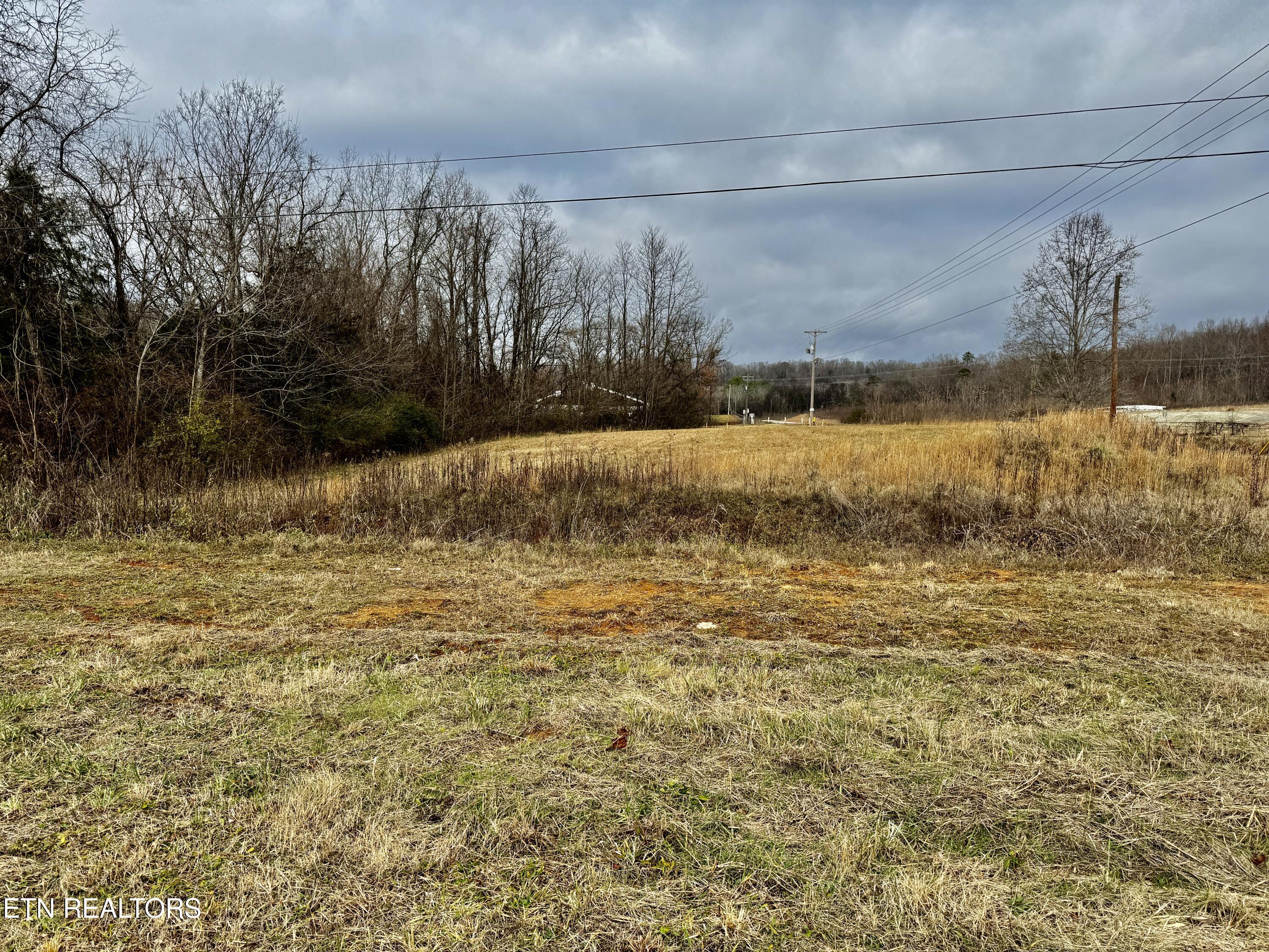 375 S White Pine Road White Pine TN 37890