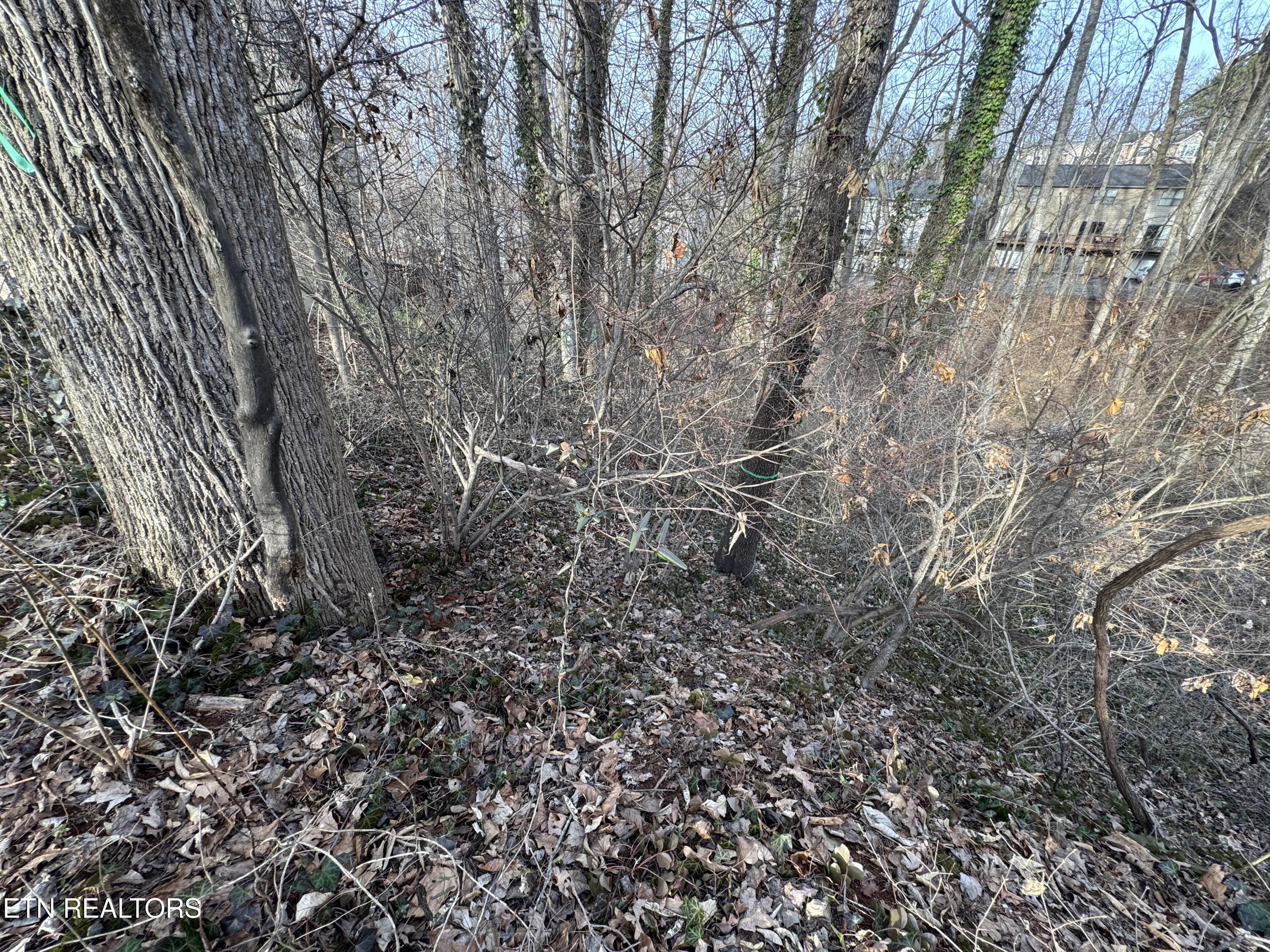 0 Idlewood Lane Knoxville TN 37923