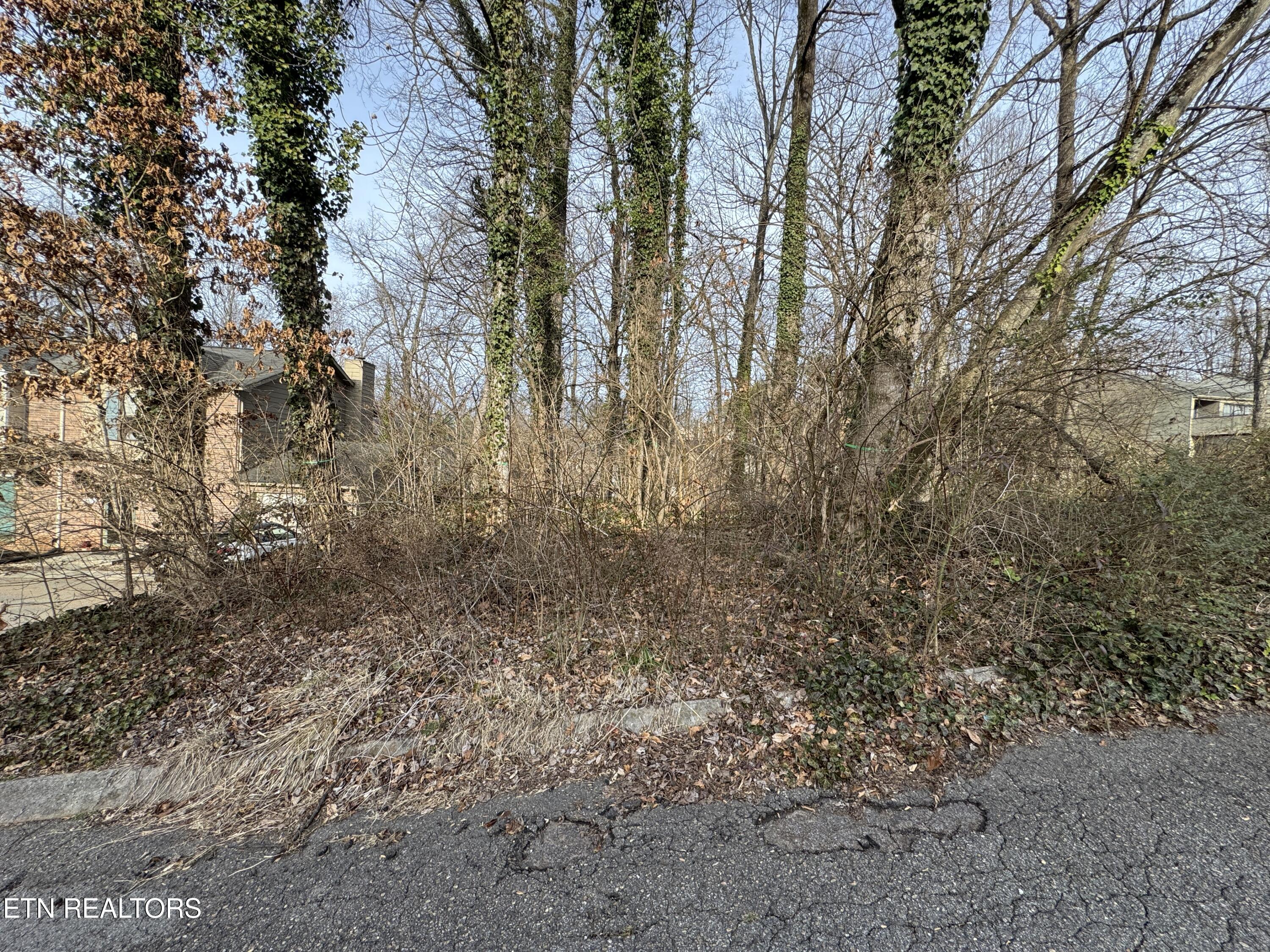 0 Idlewood Lane Knoxville TN 37923