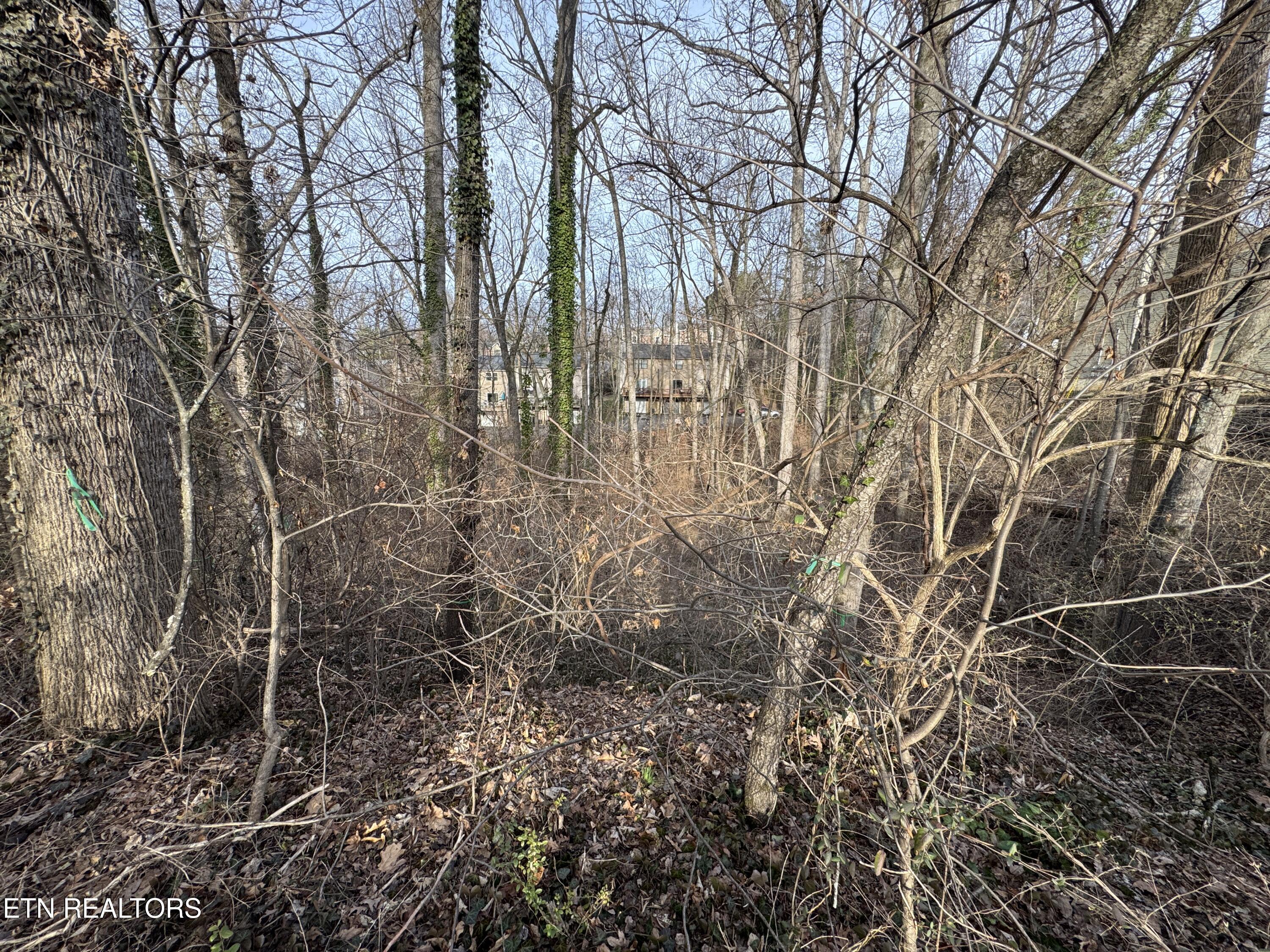 0 Idlewood Lane Knoxville TN 37923