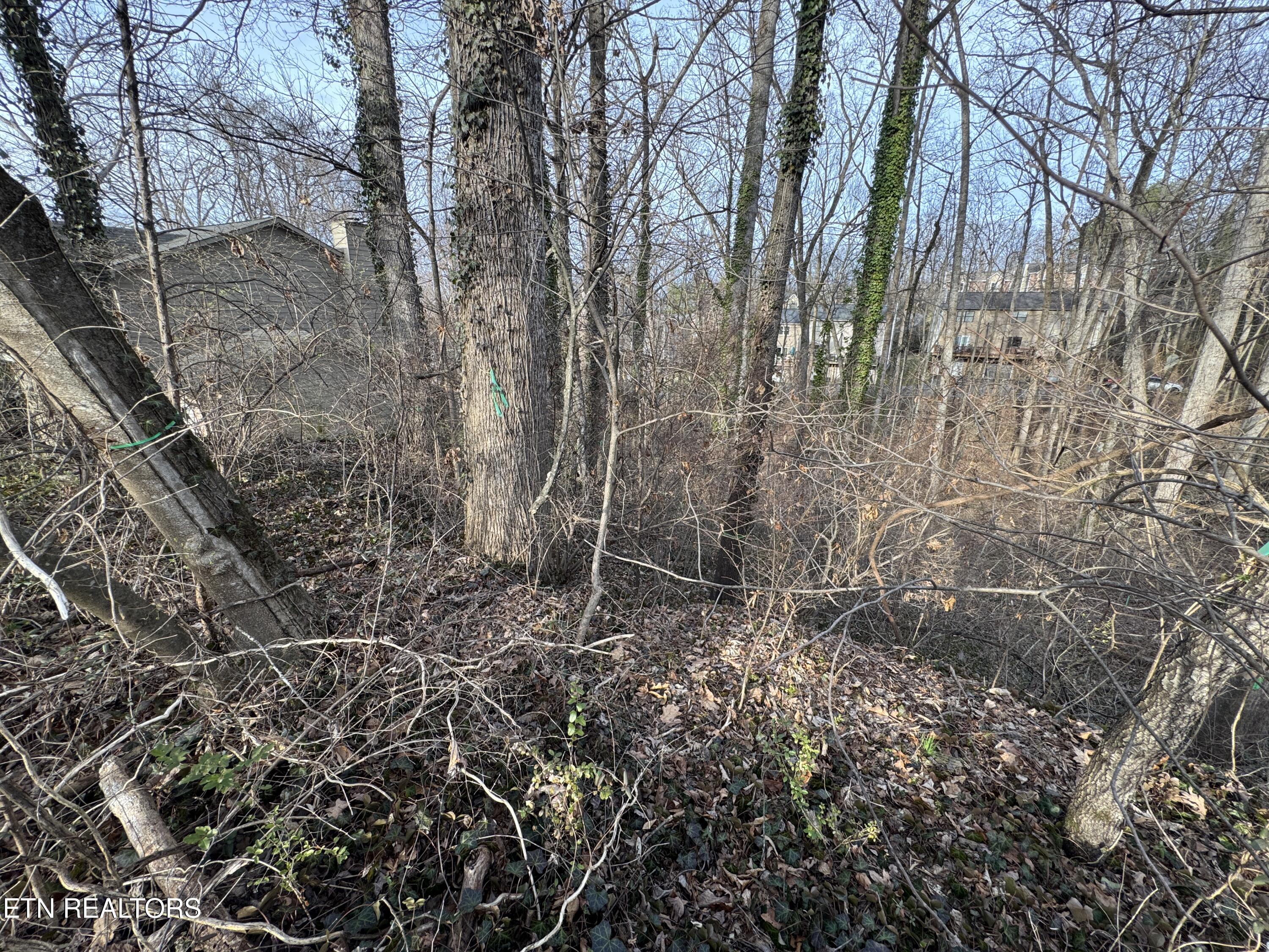 0 Idlewood Lane Knoxville TN 37923
