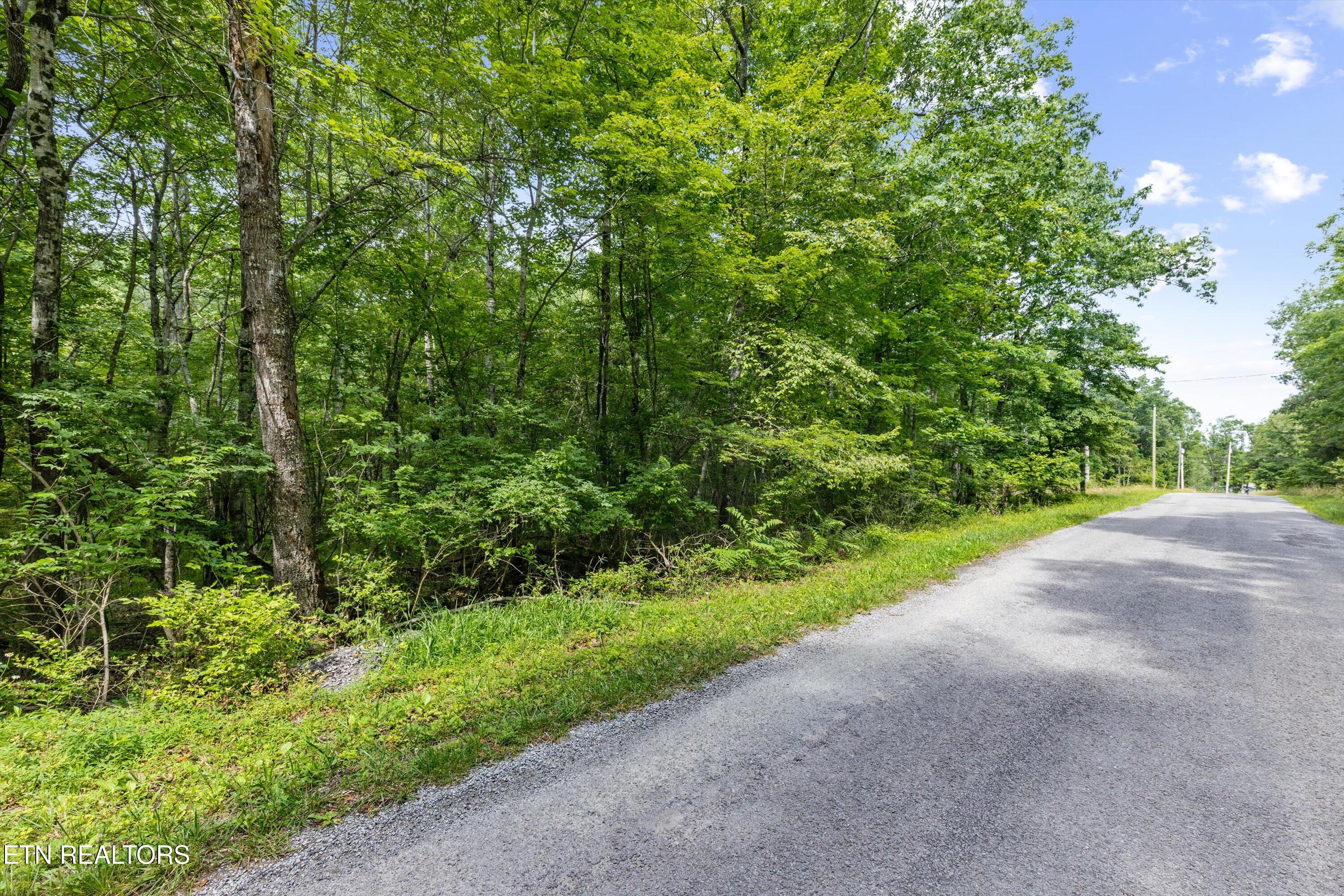 3029 Nocatee Trace Crossville TN 38572
