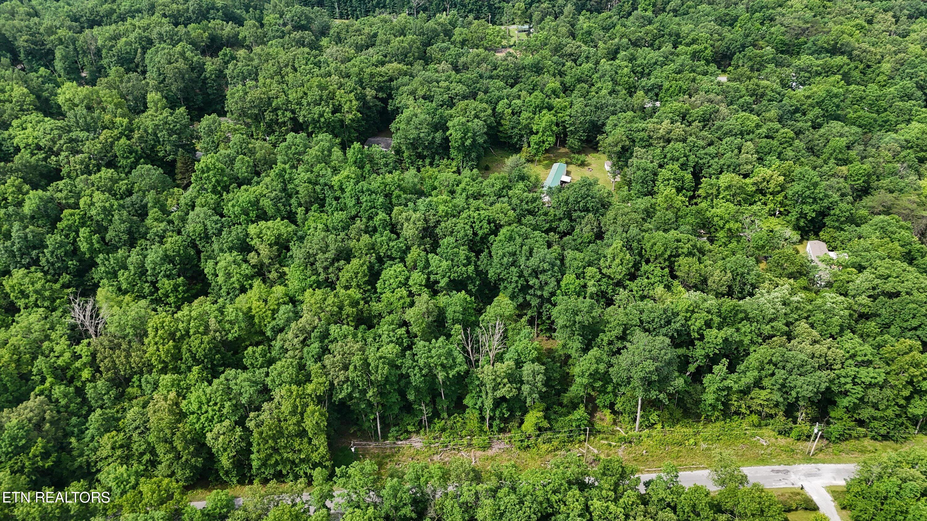 3029 Nocatee Trace Crossville TN 38572