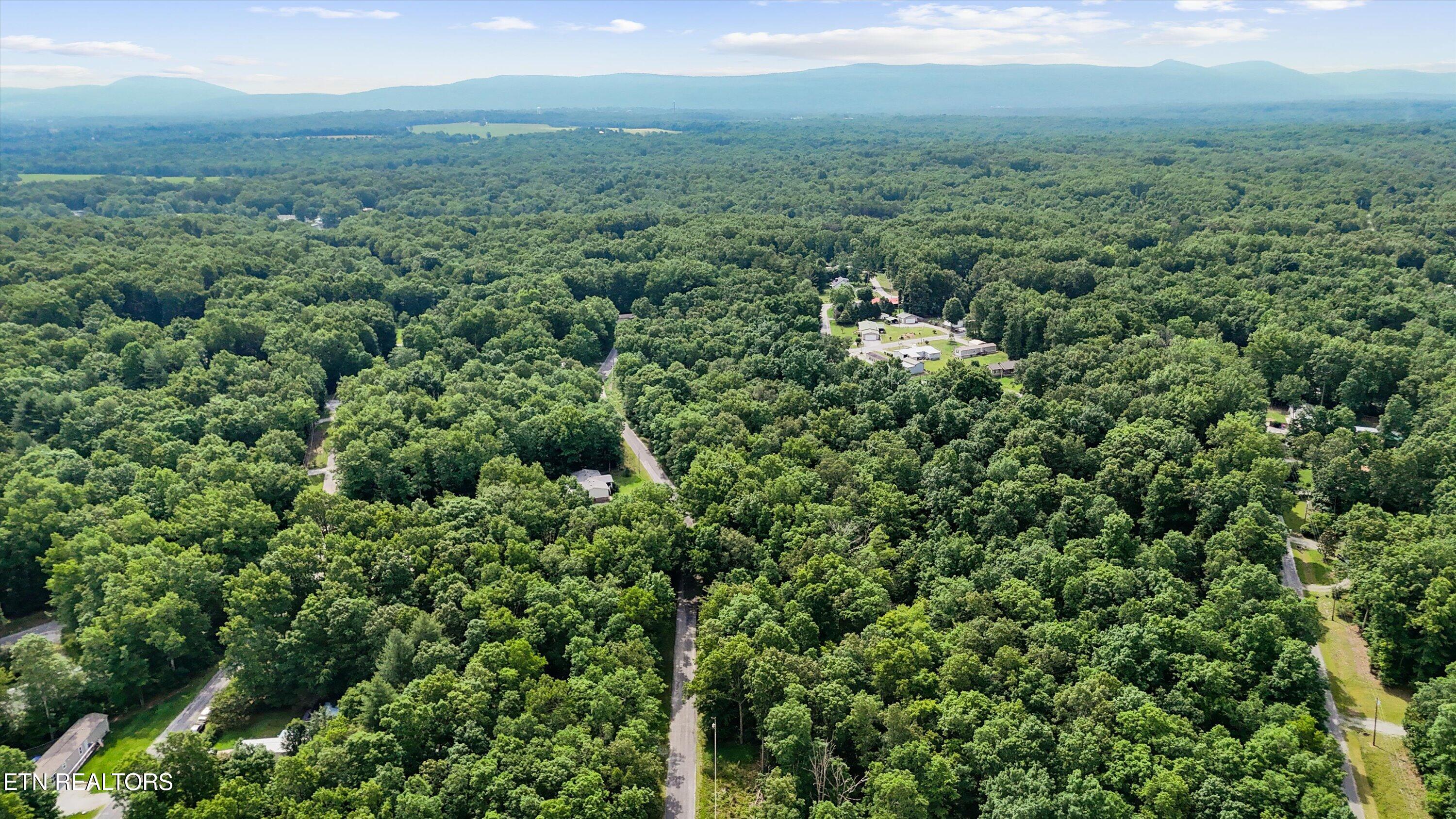3029 Nocatee Trace Crossville TN 38572