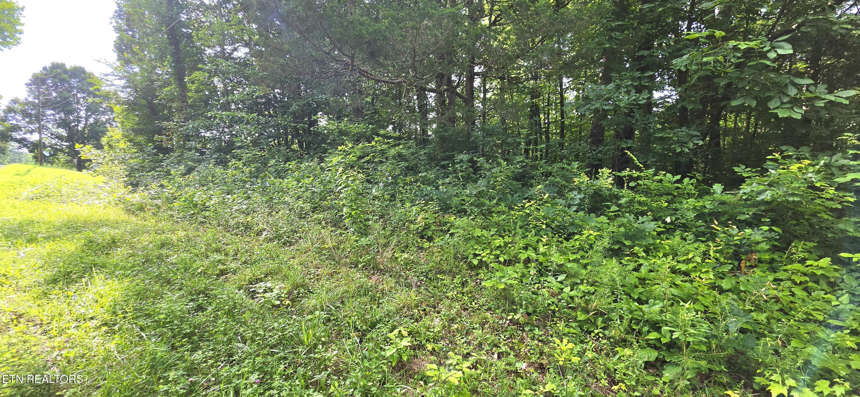 Lot 18 Pine Lane Maynardville TN 37807