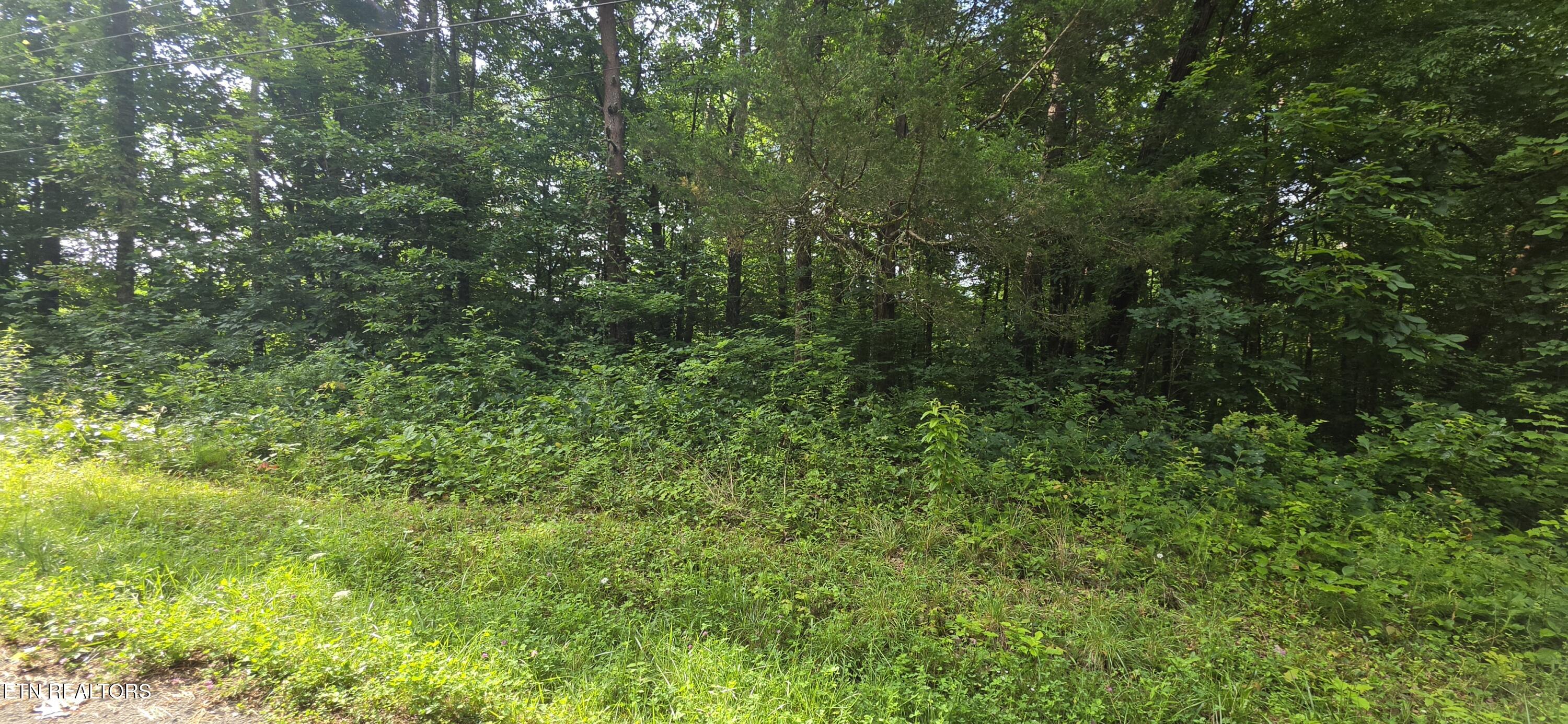 Lot 18 Pine Lane Maynardville TN 37807