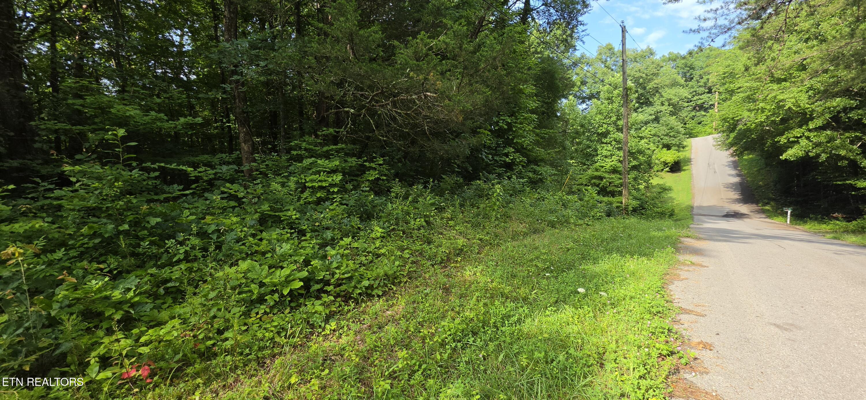 Lot 18 Pine Lane Maynardville TN 37807