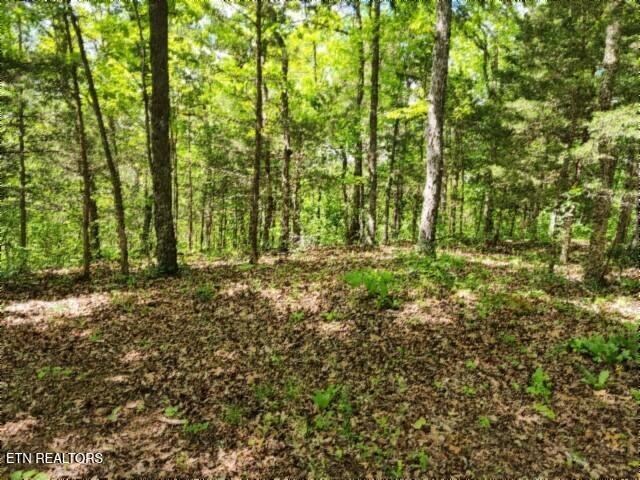 10.13AC Forest Trails Lane Celina TN 38551