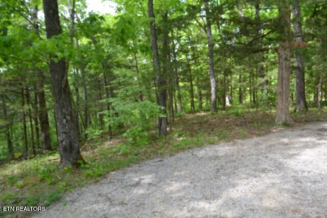 10.13AC Forest Trails Lane Celina TN 38551