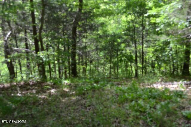 10.13AC Forest Trails Lane Celina TN 38551