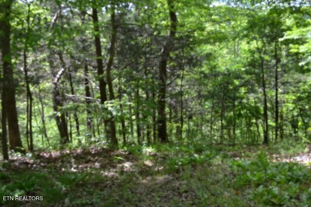 10.13AC Forest Trails Lane Celina TN 38551