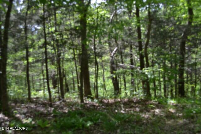 10.13AC Forest Trails Lane Celina TN 38551