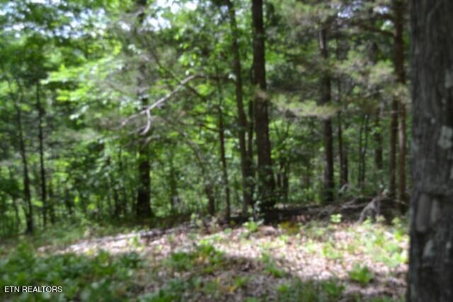 10.13AC Forest Trails Lane Celina TN 38551