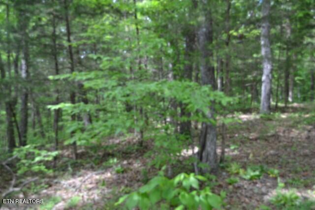 10.13AC Forest Trails Lane Celina TN 38551