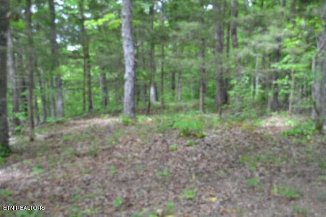 10.13AC Forest Trails Lane Celina TN 38551