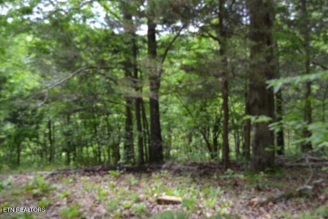 10.13AC Forest Trails Lane Celina TN 38551