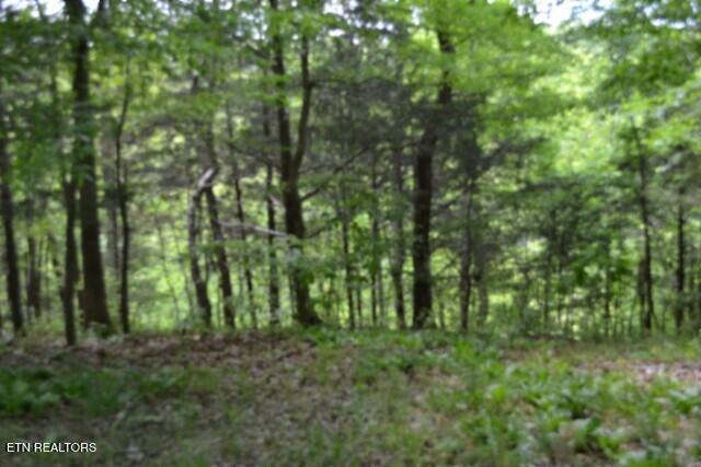 10.13AC Forest Trails Lane Celina TN 38551