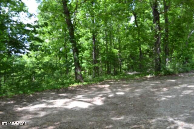 10.13AC Forest Trails Lane Celina TN 38551