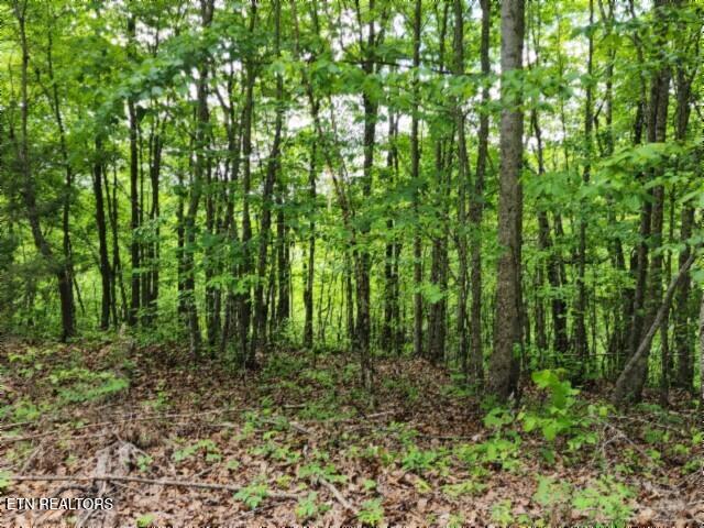 10.13AC Forest Trails Lane Celina TN 38551