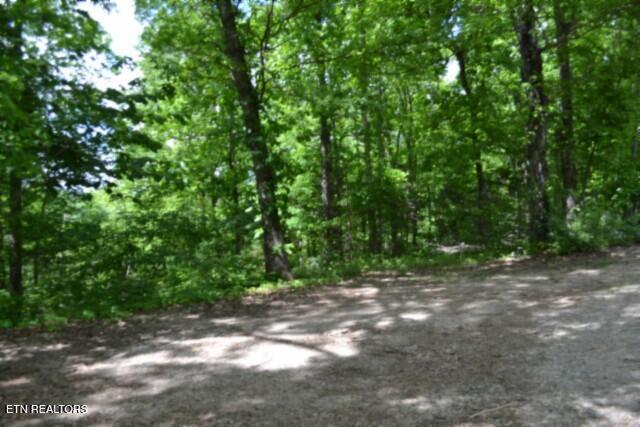 10.13AC Forest Trails Lane Celina TN 38551