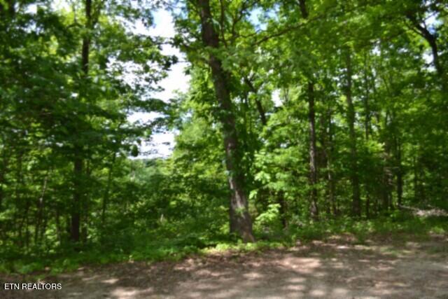 10.13AC Forest Trails Lane Celina TN 38551