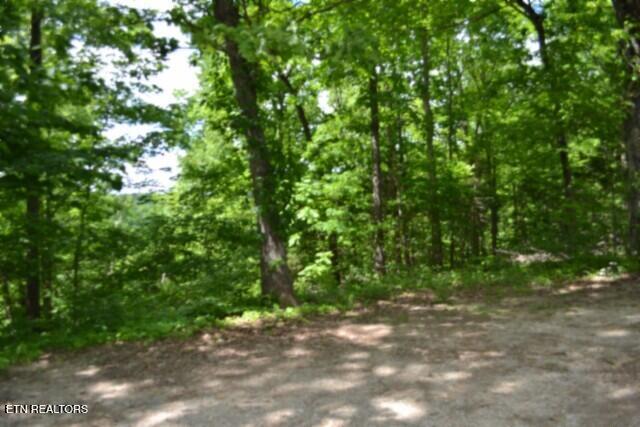 10.13AC Forest Trails Lane Celina TN 38551
