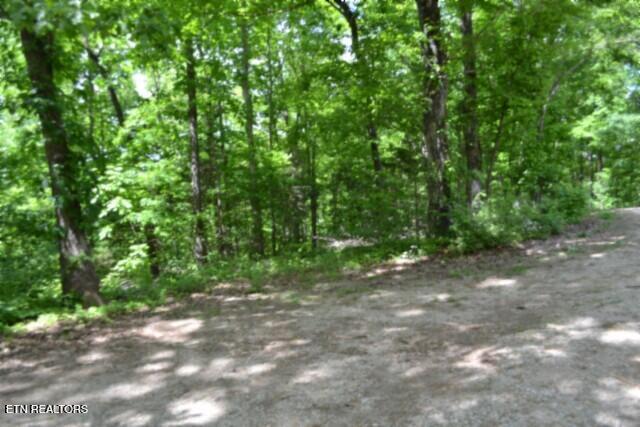 10.13AC Forest Trails Lane Celina TN 38551