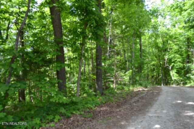 10.13AC Forest Trails Lane Celina TN 38551
