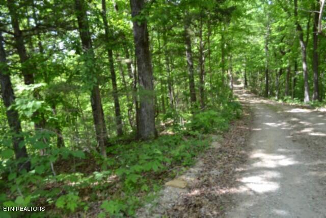 10.13AC Forest Trails Lane Celina TN 38551